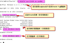 Oracle体系结构和用户管理